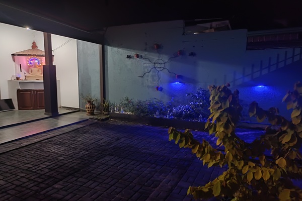 Front garden at night
